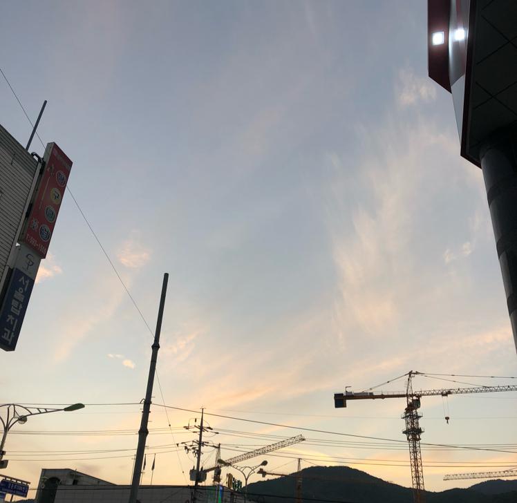 오예스예스 프로필