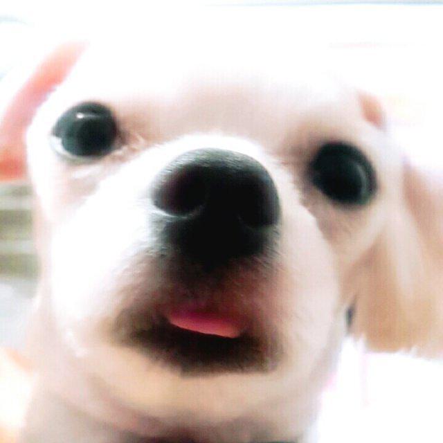 리뷰어 프로필