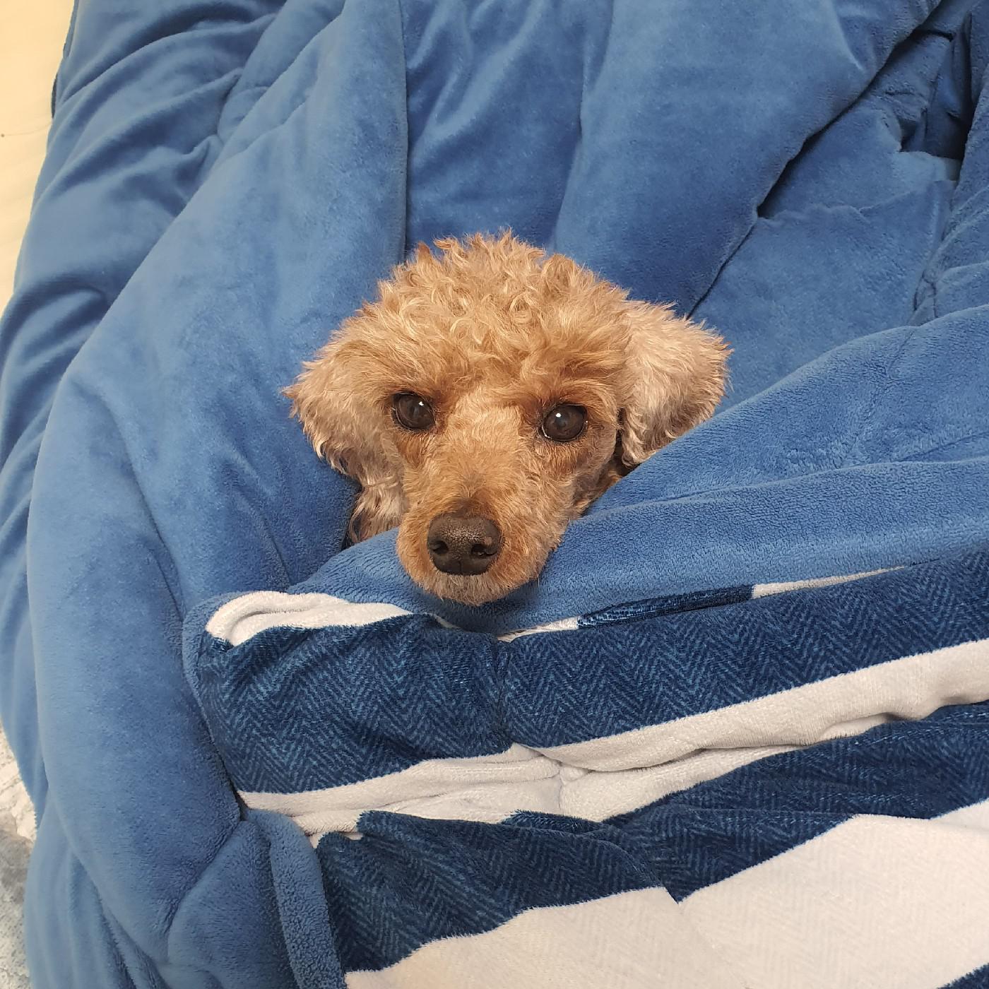연주겅듀 프로필