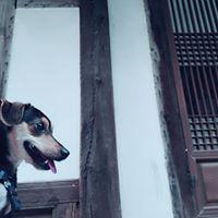 리뷰어 프로필