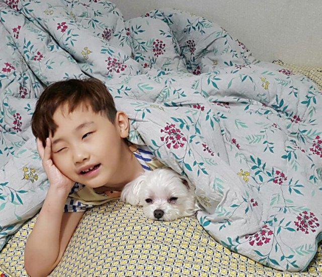 쭈니이맘 프로필