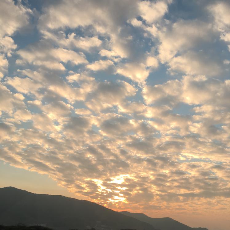 큰달미니 프로필