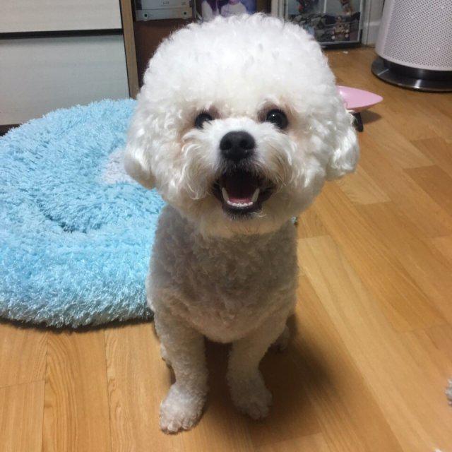 가영벨라 프로필