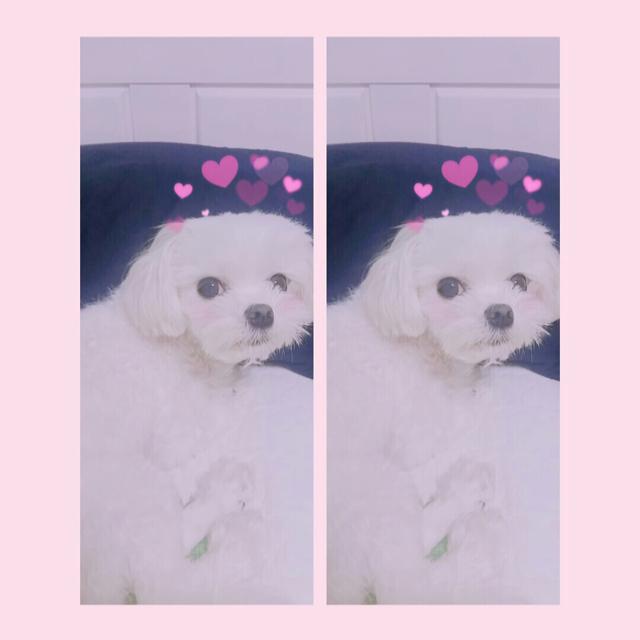 19학번새내기 프로필