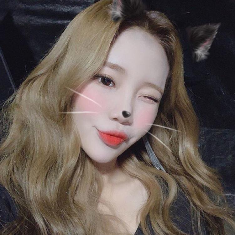 heccr 프로필