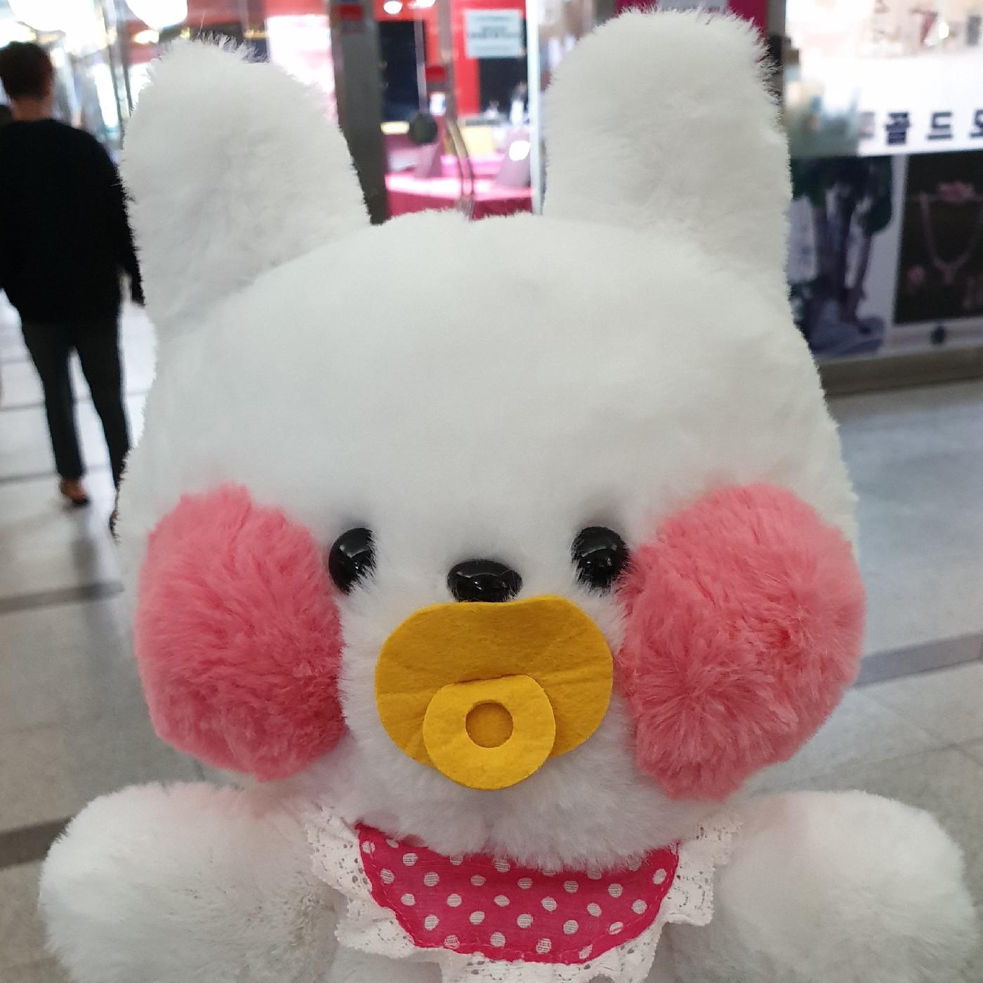 하쟤 프로필