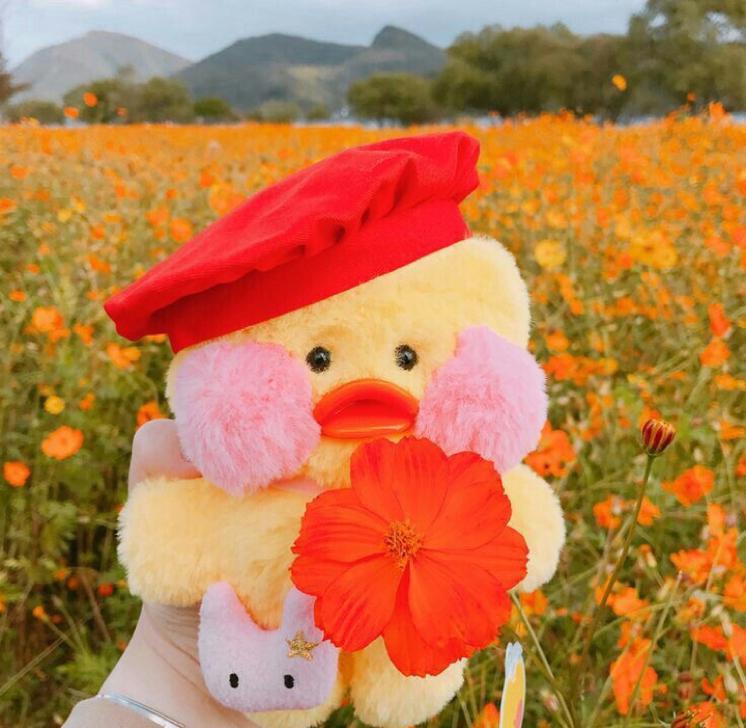 초딩예빈 프로필