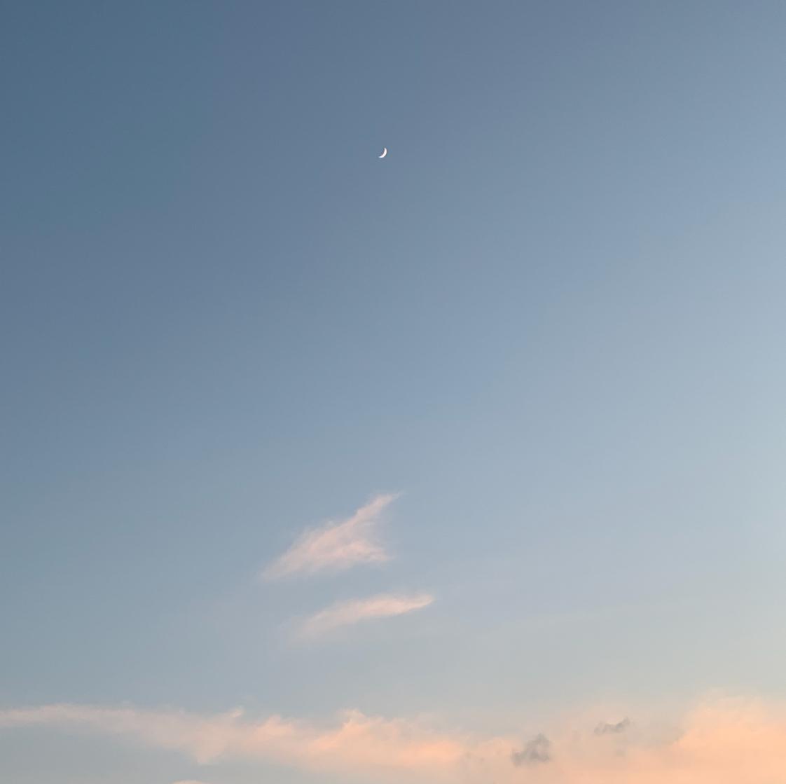 flsss 프로필