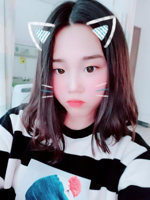 정옝 프로필