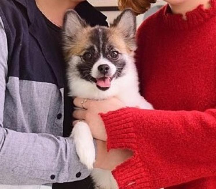 너구리품은태양 프로필