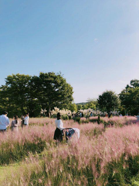 너는어부다 프로필