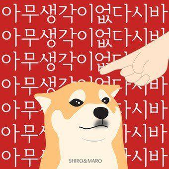 뚠뚠한판다 프로필