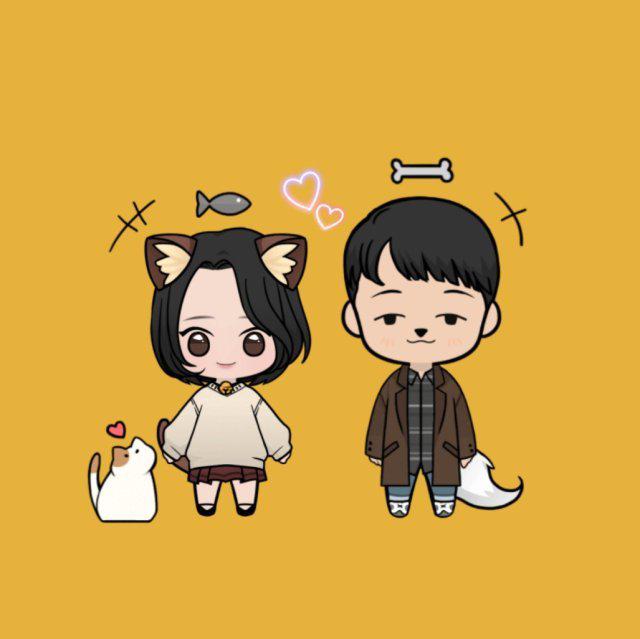 jiho0304 프로필