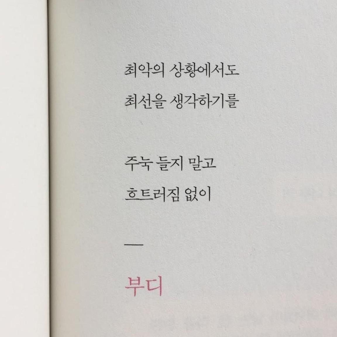 qmalzp 프로필