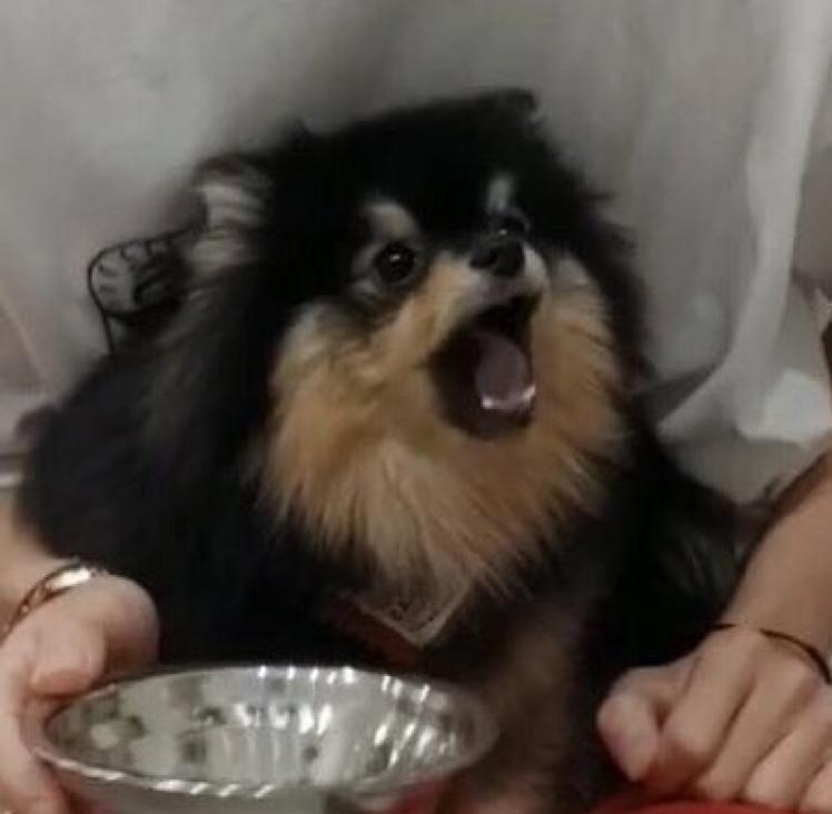 하늘위를둥둥 프로필