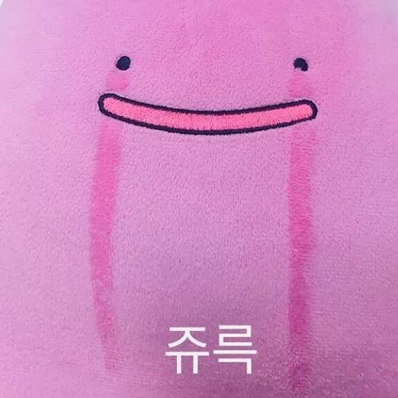 NEW.O 프로필