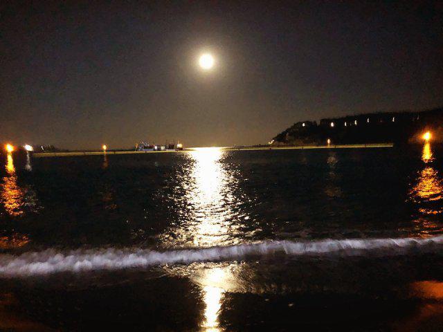 별시안 프로필