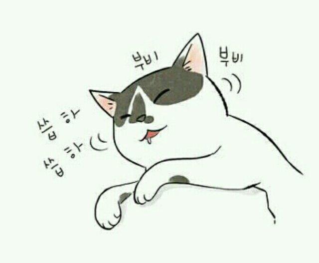 catlove112 프로필