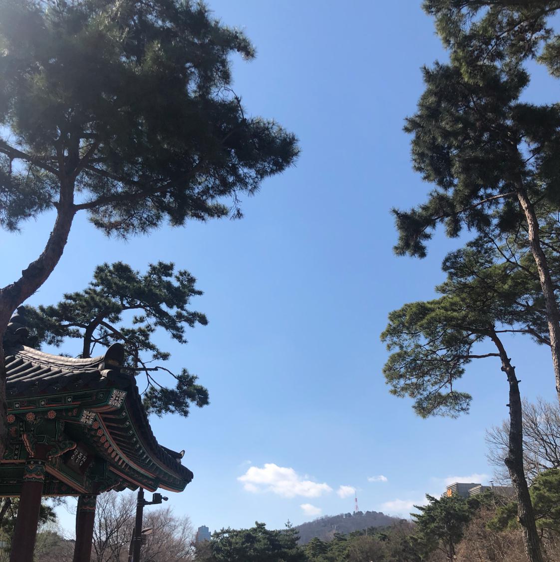 렌보 프로필