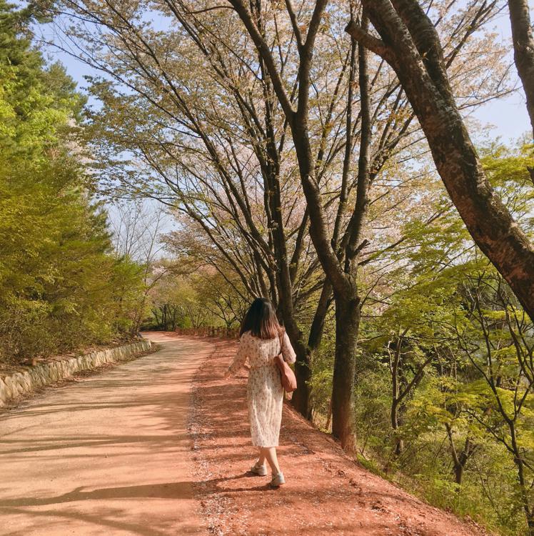 alslekfek 프로필