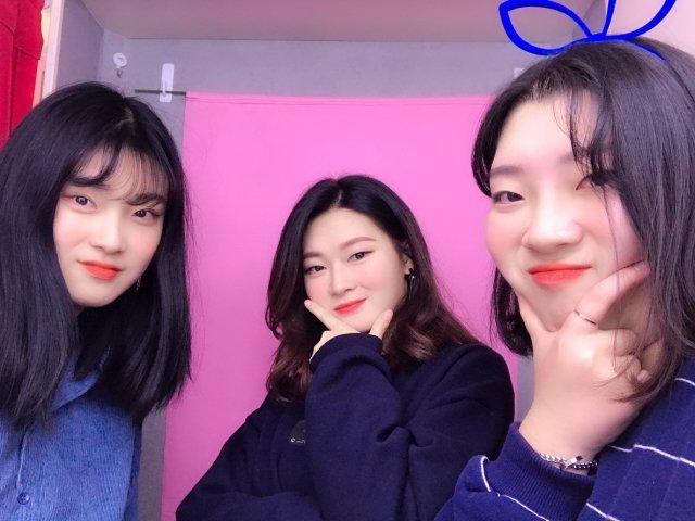 디노엄마 프로필