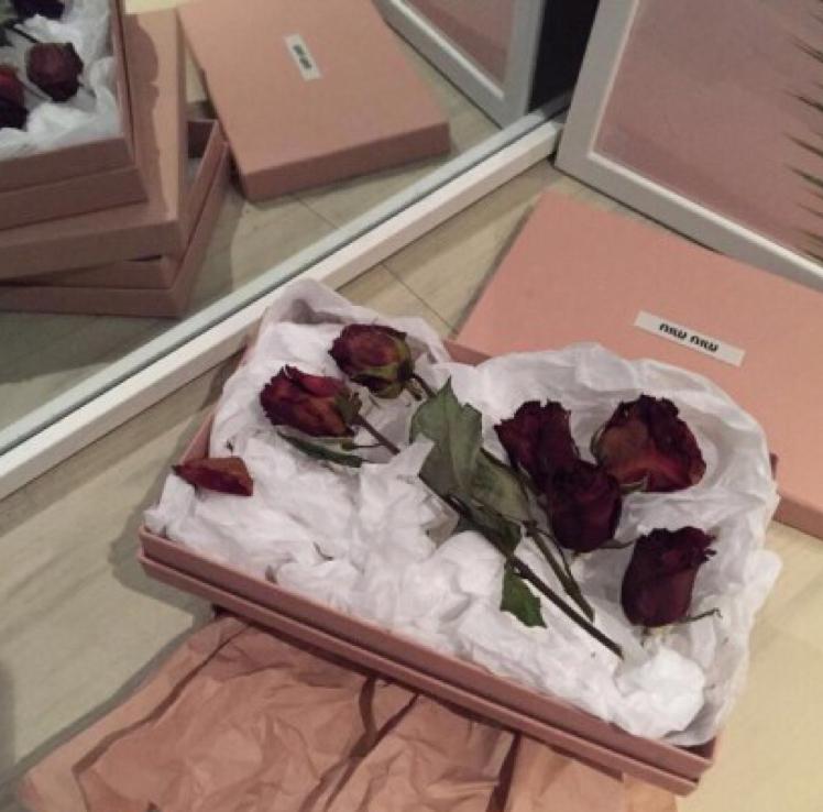 양림 프로필
