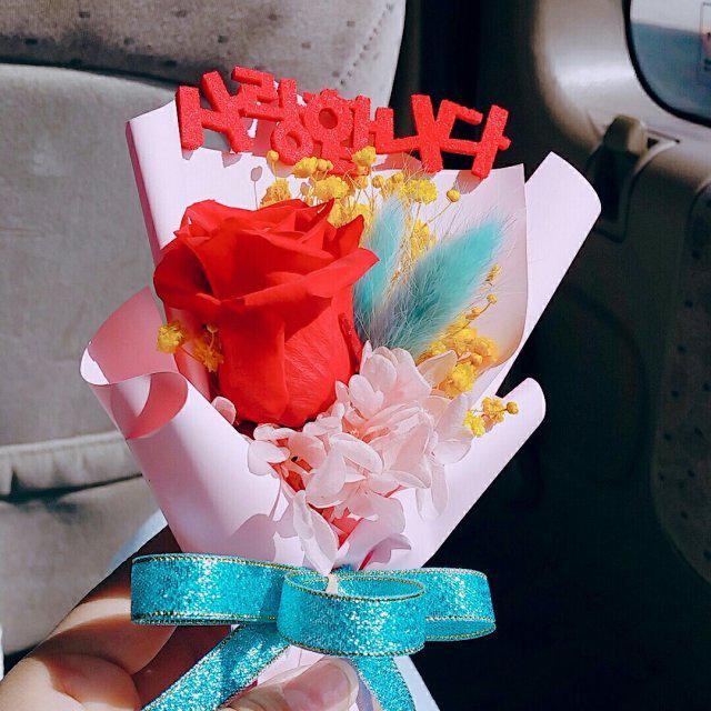 파프리카슬기 프로필