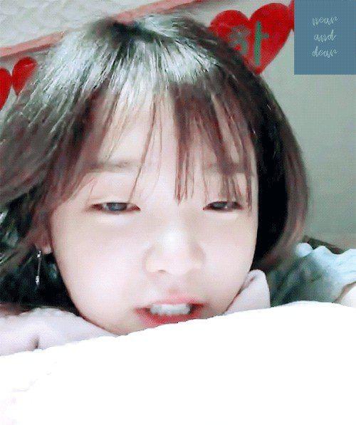 유찬란 프로필