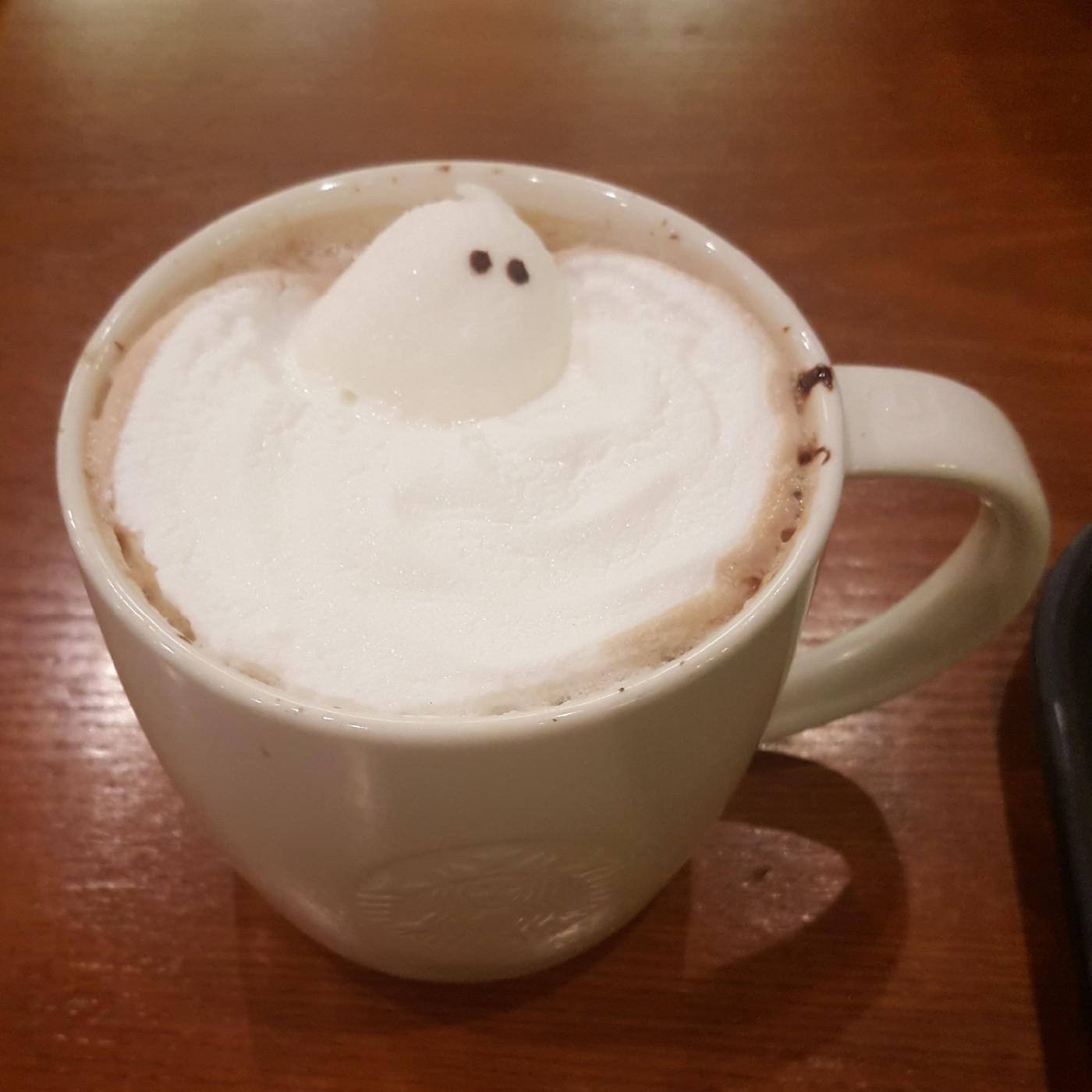 앨리스뇽 프로필