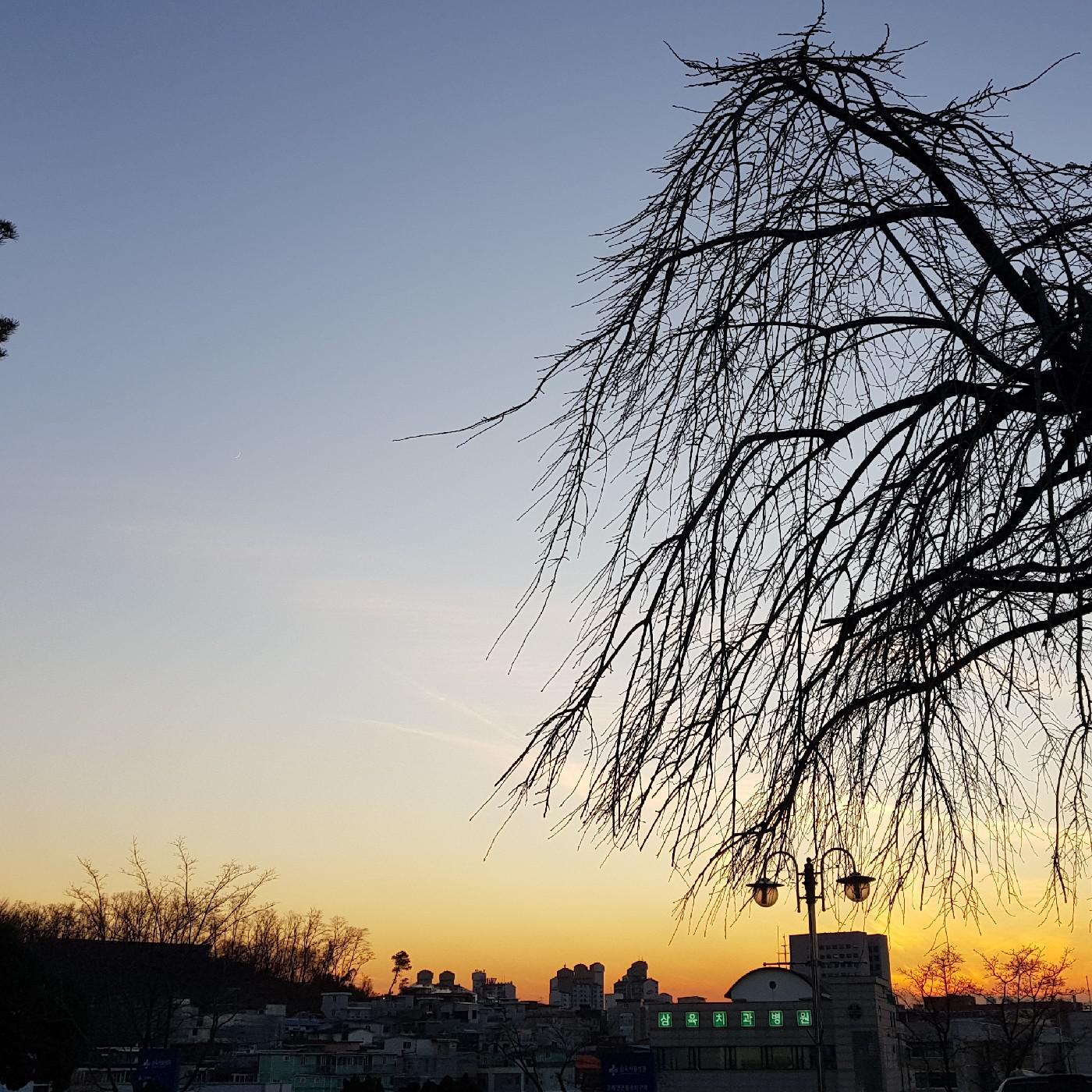 tjdalsdk 프로필