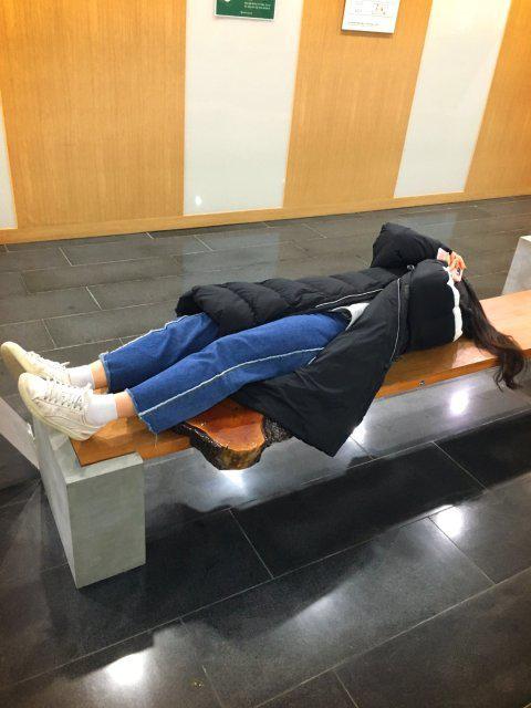 알로에포카리 프로필