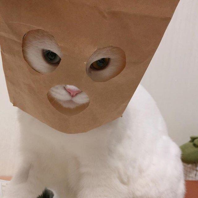 리뷰어 프로필