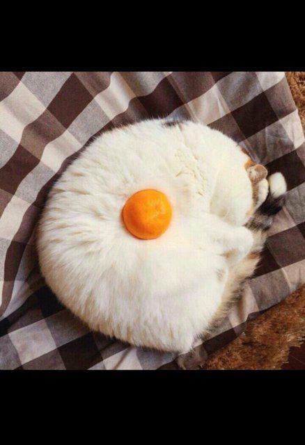 우an 프로필