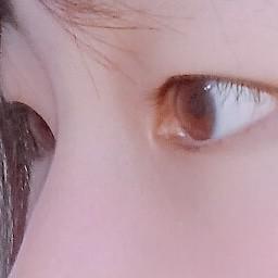 강뽀짝 프로필
