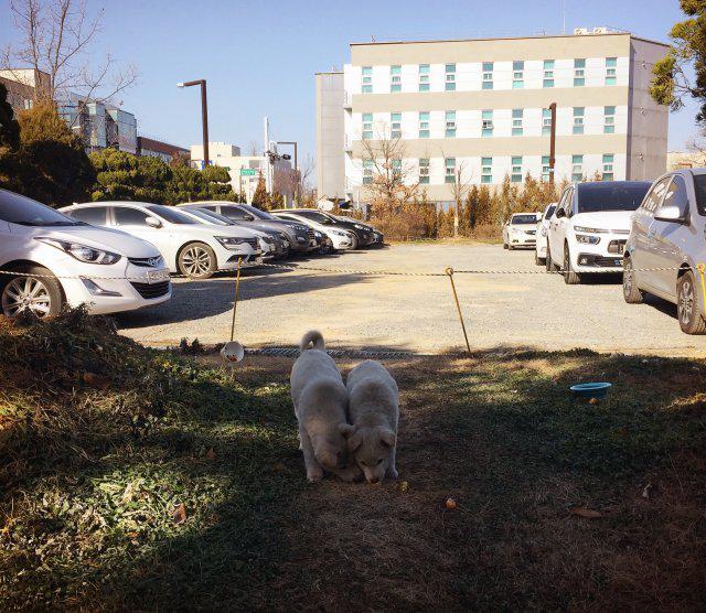 반지0 프로필