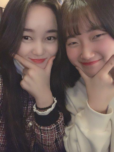dollvely 프로필