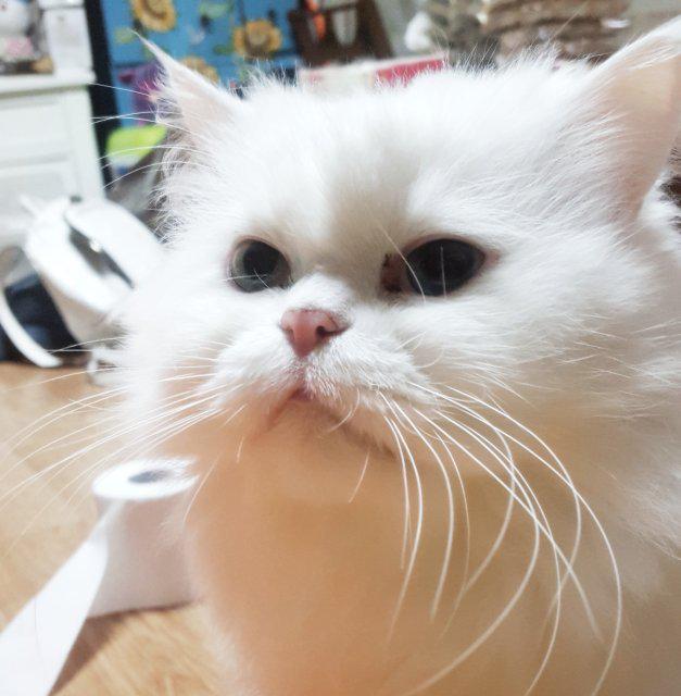 뷰티아웃사이드 프로필