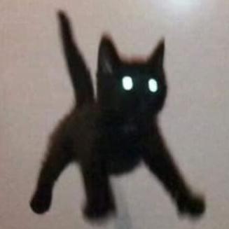 극건성민감한 프로필