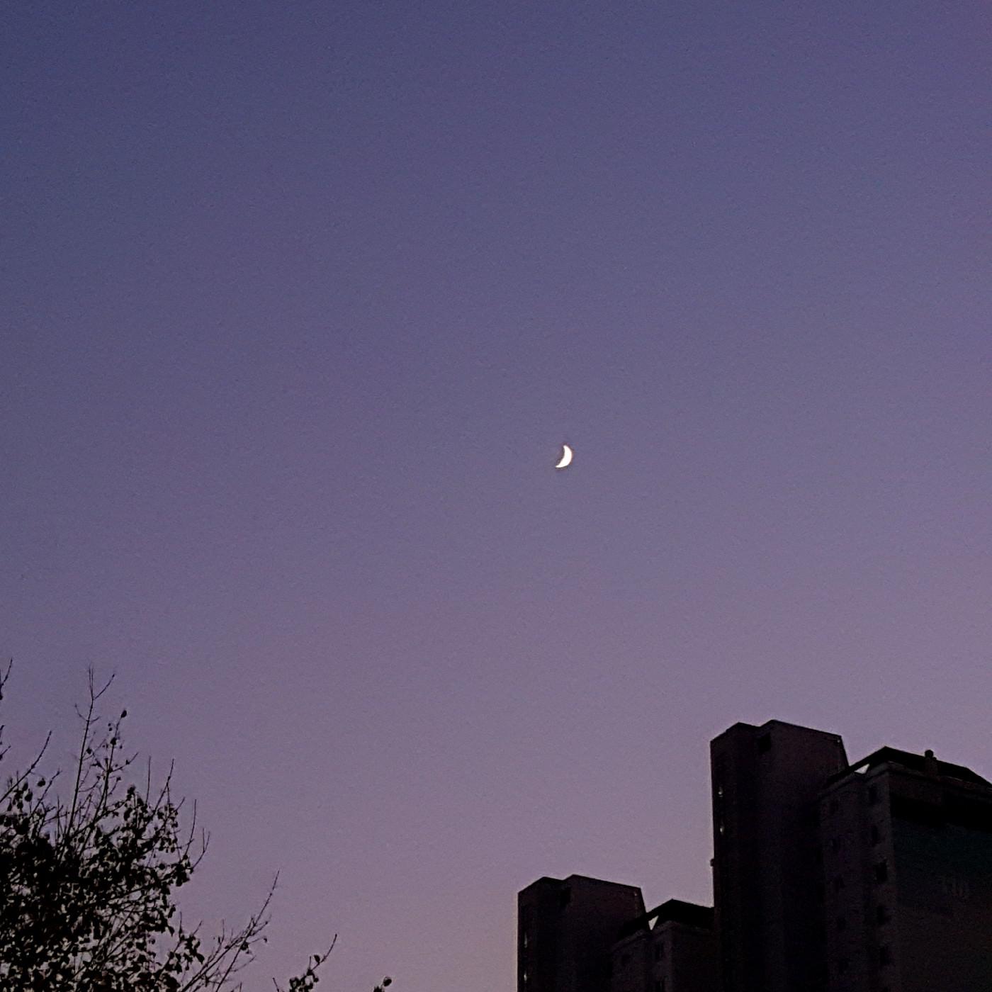 오리도리 프로필