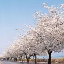 about 프로필