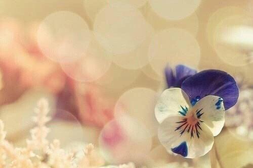 연이00 프로필