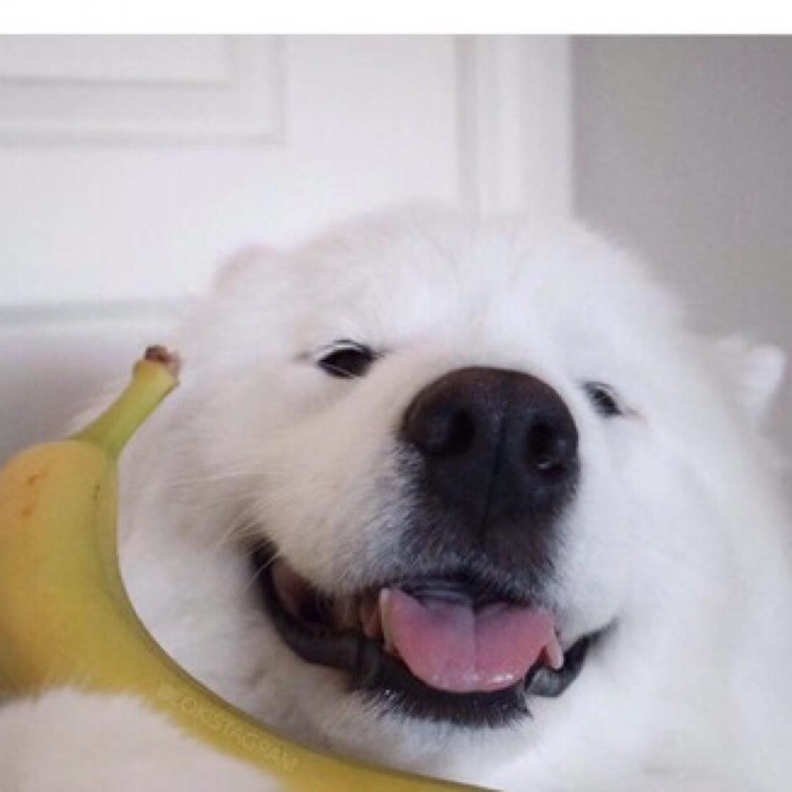ekgekg 프로필