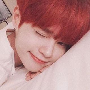 대왕워너블의워너블 프로필