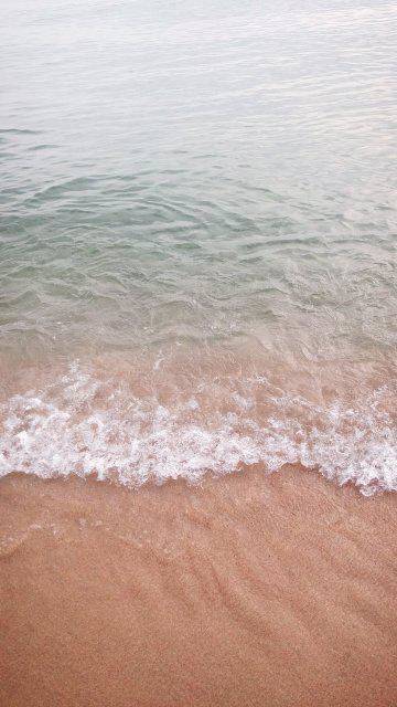 초콜렛칩플렛치노 프로필