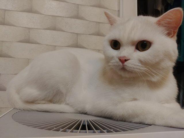 habineww 프로필