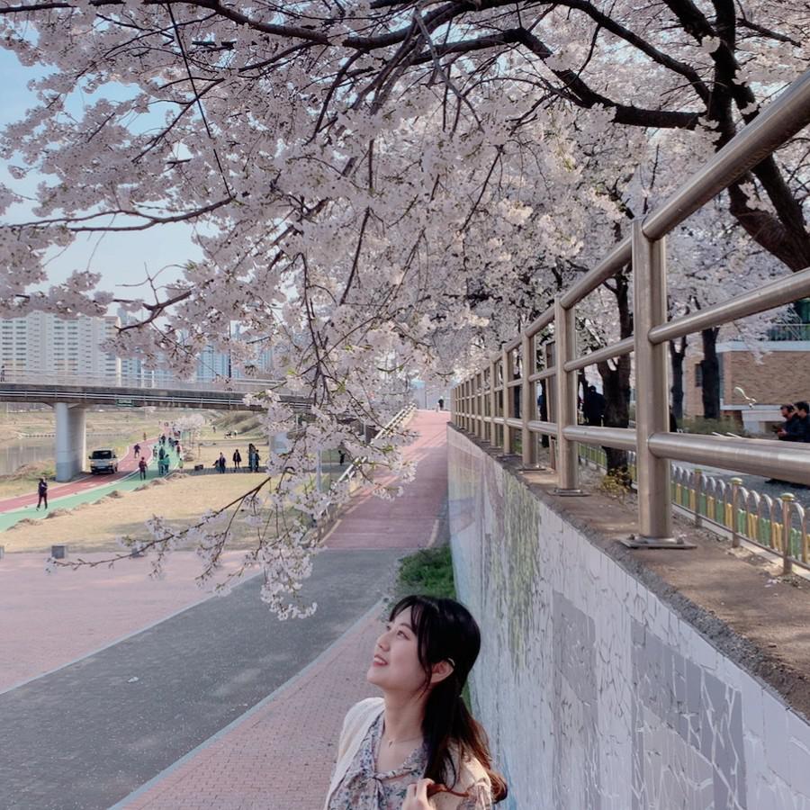 또뇽ㅇ 프로필