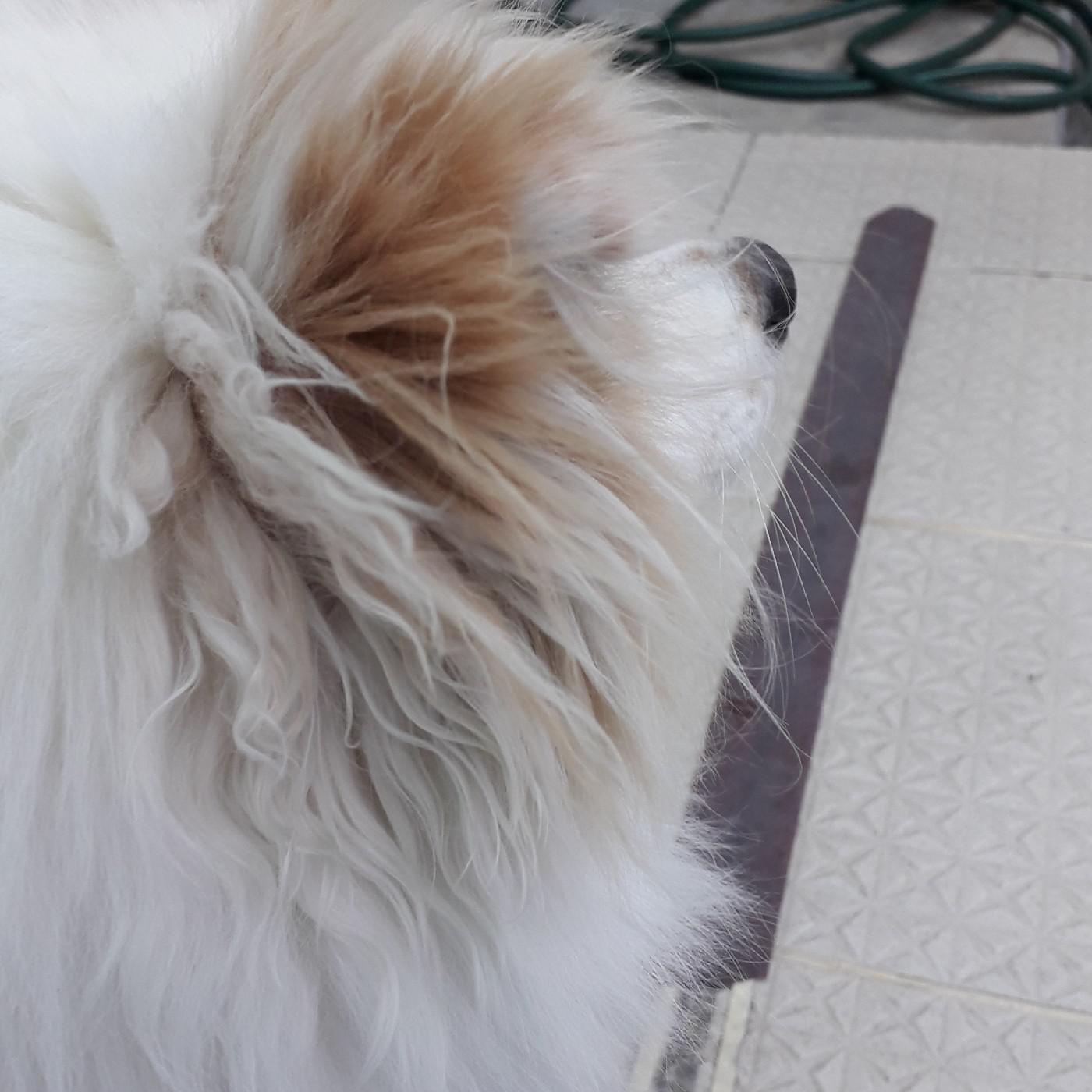 리뷰어 프로필