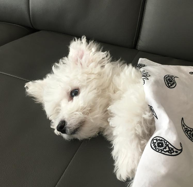 뚱수빈 프로필