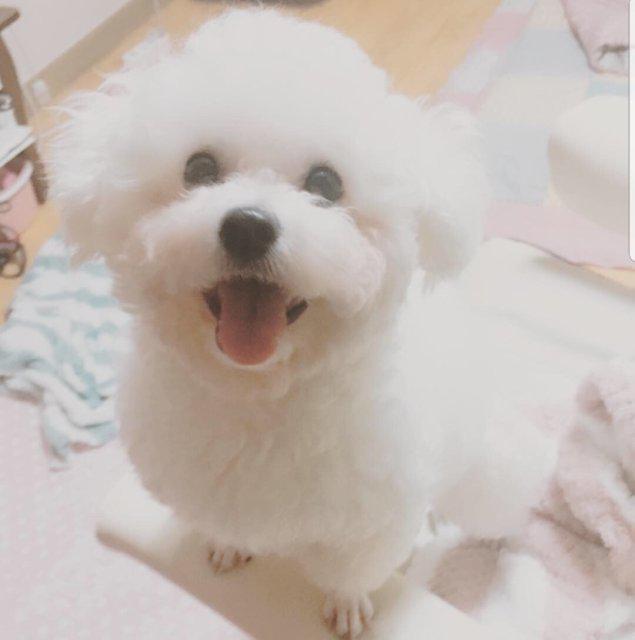 이야아아아아 프로필