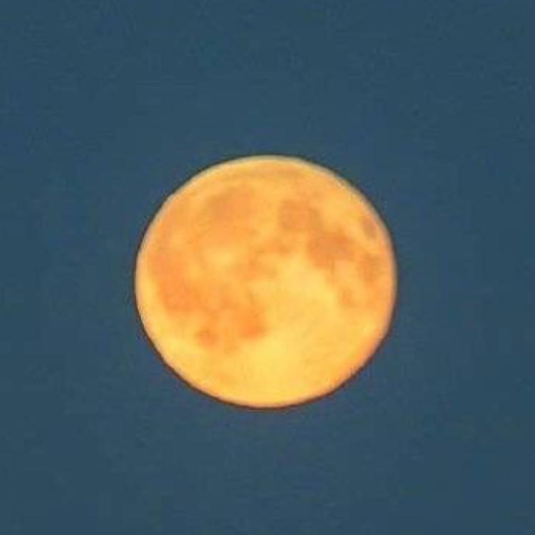 김쿨쿨 프로필